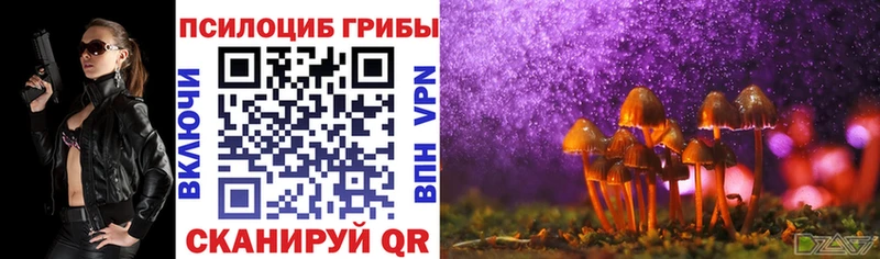 Галлюциногенные грибы Psilocybine cubensis  Очёр 