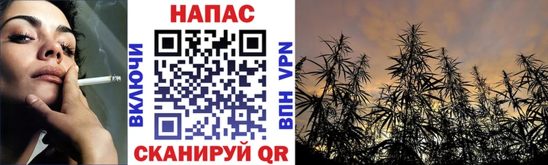 Каннабис планчик  Очёр 